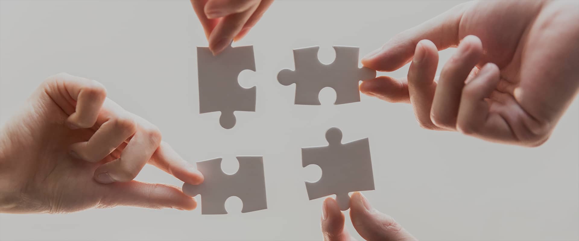 新奥2025新澳门原料网