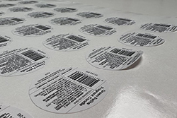 新奥2025新澳门原料网